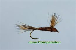 June Compara Dun